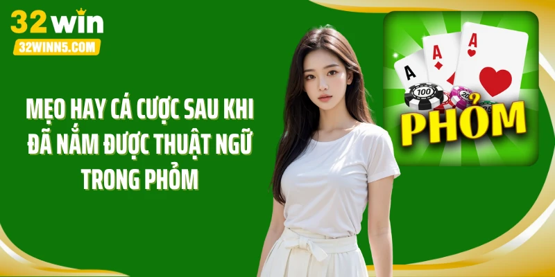 Mẹo hay cá cược sau khi đã nắm được thuật ngữ trong Phỏm